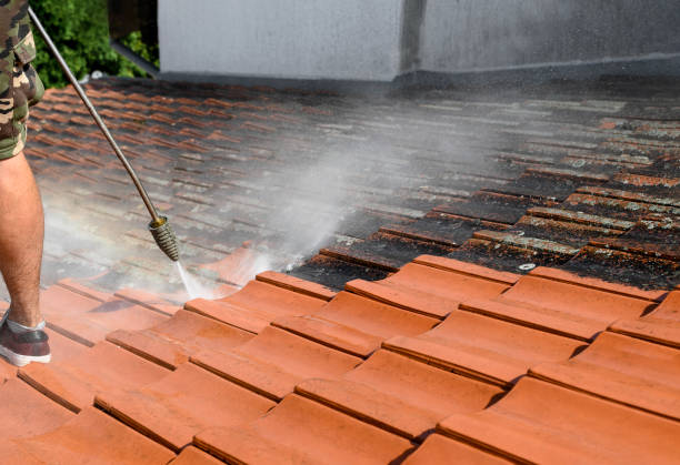  , FL Pressure Washing Pros